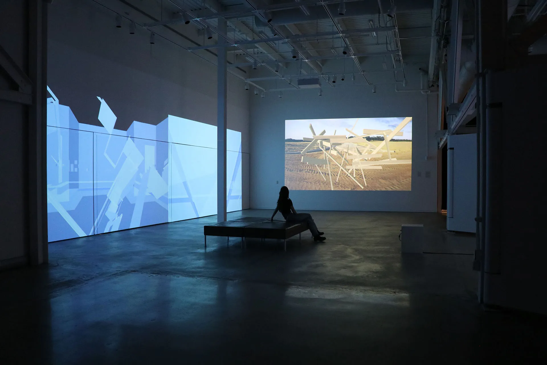 Joelle Dietrick and Owen Mundy. The Speed of Thinking. 2019. Exhibition
installation at Leo Pearlstein Gallery, Drexel University, Philadelphia, PA.